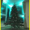 02.12.2017 Weihnachtsmarkt Altenheim Casa Reha Siegen