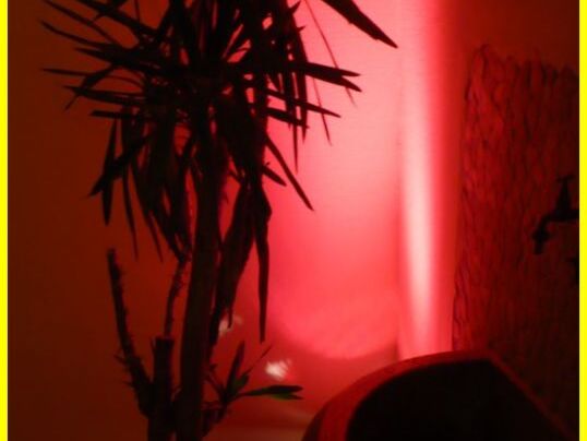 30._Geburtstag_am_10.05.2013_im_Buergerhaus_in_Seelbach_010.jpg