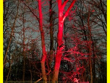 2025-12-19_Pfadfinder_Weihnachtsmarkt_Im_Wald_auf_der_Ley_009.JPG
