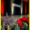 05.11.2023 Herbstkonzert New Voices, Giebelwaldhalle Mudersbach