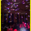 11.01.2025 Winterball des ASV Siegen Weidenau, Weißtalhalle, Siegen