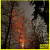 19.12.2025 Pfadfinder Weihnachtsmarkt im Wald auf der Ley