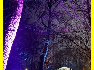 2025-12-19_Pfadfinder_Weihnachtsmarkt_Im_Wald_auf_der_Ley_008.JPG