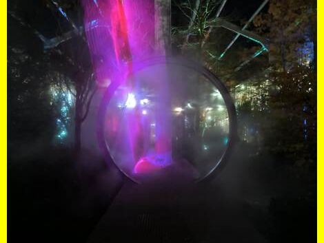 2025-11-07_FreundinnenAbend_Garten_Center_Kremer_Siegen_005.jpg