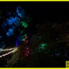24.06.2023 40. Geburtstag Gartenparty, Freudenberg - Wildenburg
